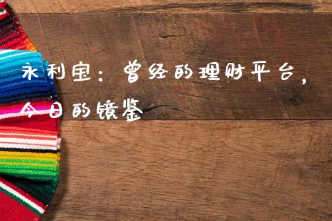 永利宝：曾经的理财平台，今日的镜鉴_https://www.fansifence.com_中国国际期货_第1张