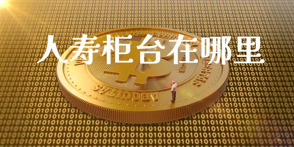 人寿柜台在哪里_https://www.fansifence.com_恒指交易时间_第1张
