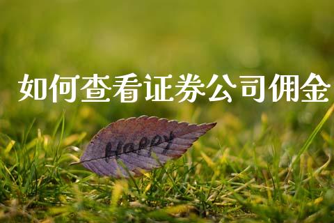 如何查看证券公司佣金_https://www.fansifence.com_中国国际期货_第1张