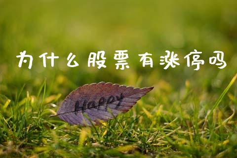 为什么股票有涨停吗_https://www.fansifence.com_国际期货_第1张