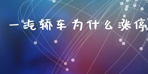 一汽轿车为什么涨停_https://www.fansifence.com_恒指交易时间_第1张