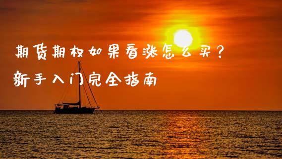 期货期权如果看涨怎么买？新手入门完全指南_https://www.fansifence.com_恒指交易时间_第1张