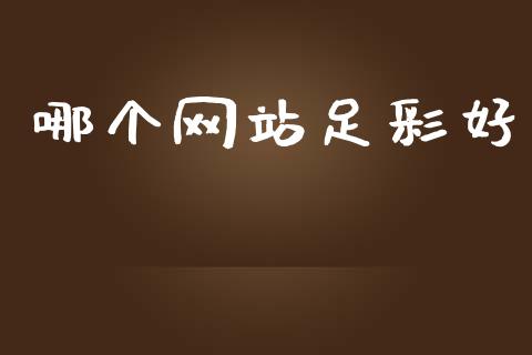哪个网站足彩好_https://www.fansifence.com_中国国际期货_第1张