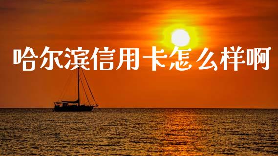 哈尔滨信用卡怎么样啊_https://www.fansifence.com_国际期货行情_第1张