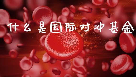 什么是国际对冲基金_https://www.fansifence.com_国际期货行情_第1张