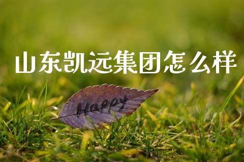 山东凯远集团怎么样_https://www.fansifence.com_中国国际期货_第1张
