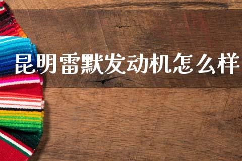 昆明雷默发动机怎么样_https://www.fansifence.com_恒指交易时间_第1张