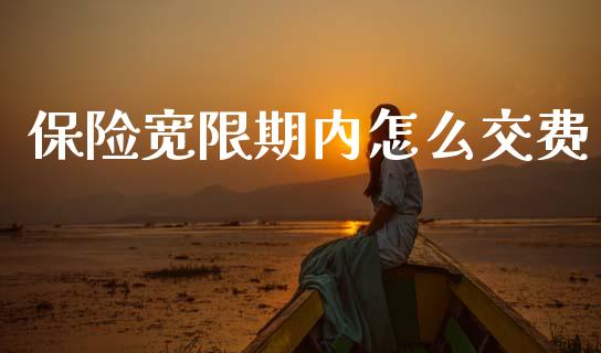 保险宽限期内怎么交费_https://www.fansifence.com_恒指交易时间_第1张