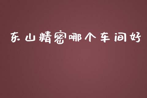 东山精密哪个车间好_https://www.fansifence.com_恒指交易时间_第1张