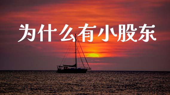 为什么有小股东_https://www.fansifence.com_中国国际期货_第1张