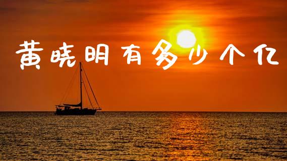 黄晓明有多少个亿_https://www.fansifence.com_中国国际期货_第1张