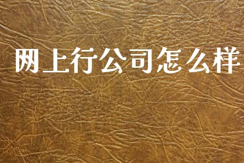 网上行公司怎么样_https://www.fansifence.com_中国国际期货_第1张