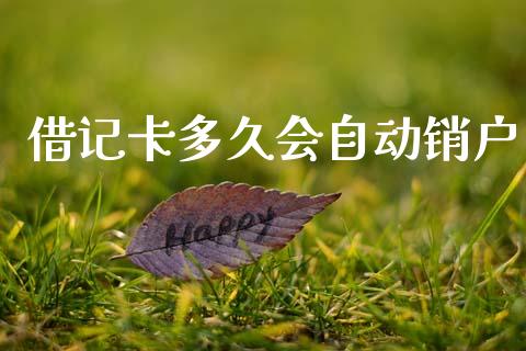 借记卡多久会自动销户_https://www.fansifence.com_国际期货_第1张