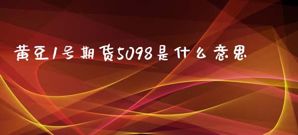 黄豆1号期货5098是什么意思_https://www.fansifence.com_国际期货_第1张