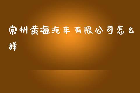 常州黄海汽车有限公司怎么样_https://www.fansifence.com_国际期货行情_第1张