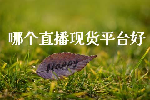 哪个直播现货平台好_https://www.fansifence.com_中国国际期货_第1张