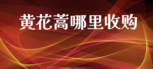 黄花蒿哪里收购_https://www.fansifence.com_国际期货_第1张