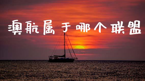 澳航属于哪个联盟_https://www.fansifence.com_中国国际期货_第1张