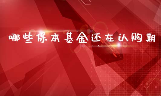 哪些保本基金还在认购期_https://www.fansifence.com_恒指交易时间_第1张
