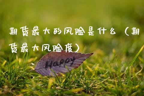 期货最大的风险是什么（期货最大风险度）_https://www.fansifence.com_中国国际期货_第1张