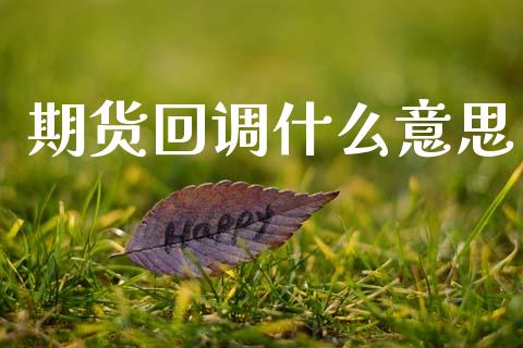 期货回调什么意思_https://www.fansifence.com_国际期货_第1张