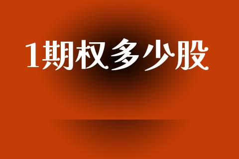 1期权多少股_https://www.fansifence.com_国际期货_第1张