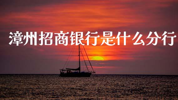 漳州招商银行是什么分行_https://www.fansifence.com_国际期货行情_第1张
