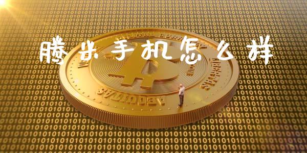腾米手机怎么样_https://www.fansifence.com_中国国际期货_第1张