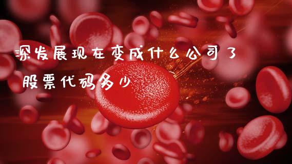 深发展现在变成什么公司了 股票代码多少_https://www.fansifence.com_恒指交易时间_第1张