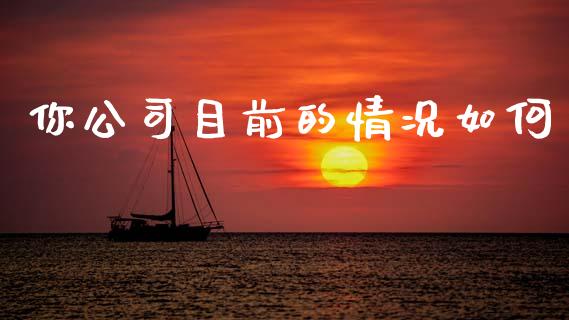 你公司目前的情况如何_https://www.fansifence.com_中国国际期货_第1张