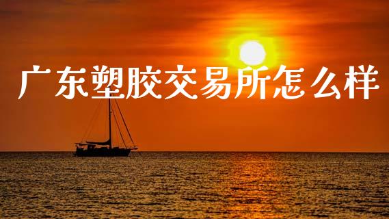 广东塑胶交易所怎么样_https://www.fansifence.com_国际期货_第1张