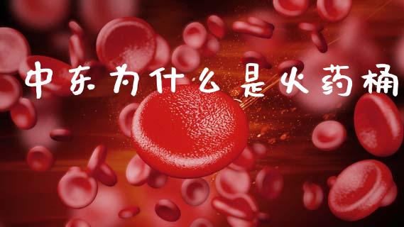 中东为什么是火药桶_https://www.fansifence.com_国际期货行情_第1张