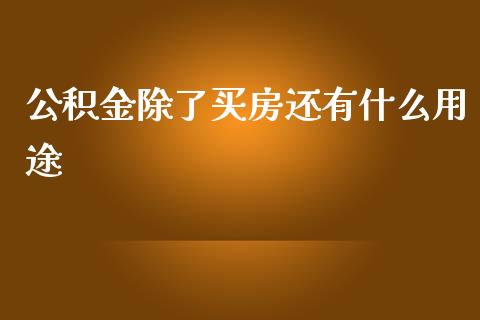 公积金除了买房还有什么用途_https://www.fansifence.com_国际期货行情_第1张