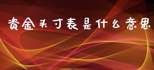 资金头寸表是什么意思_https://www.fansifence.com_中国国际期货_第1张