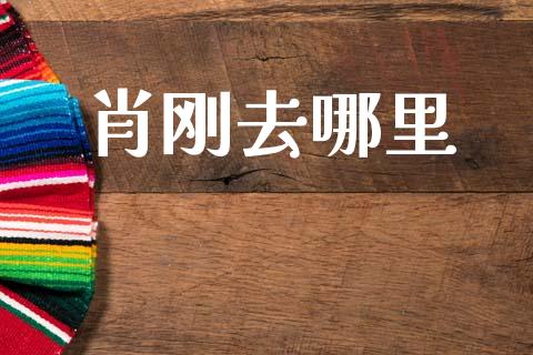 肖刚去哪里_https://www.fansifence.com_恒指交易时间_第1张