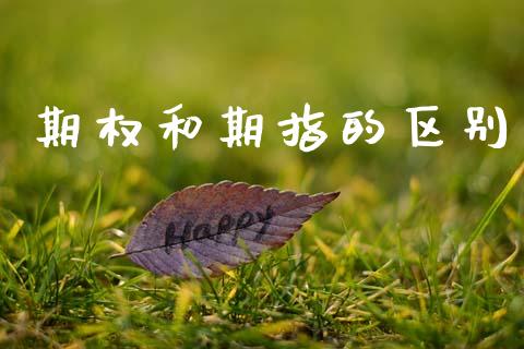期权和期指的区别_https://www.fansifence.com_中国国际期货_第1张