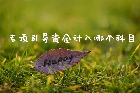 专项引导资金计入哪个科目_https://www.fansifence.com_国际期货行情_第1张