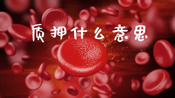 质押什么意思_https://www.fansifence.com_国际期货行情_第1张