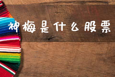 神梅是什么股票_https://www.fansifence.com_中国国际期货_第1张