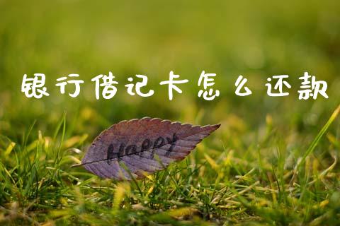 银行借记卡怎么还款_https://www.fansifence.com_中国国际期货_第1张