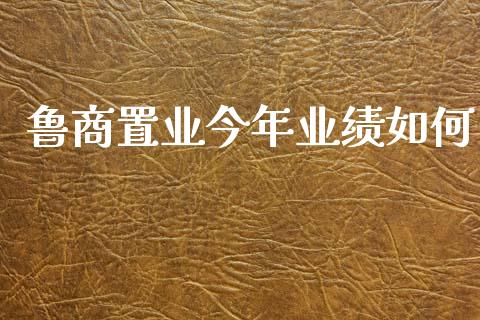 鲁商置业今年业绩如何_https://www.fansifence.com_中国国际期货_第1张