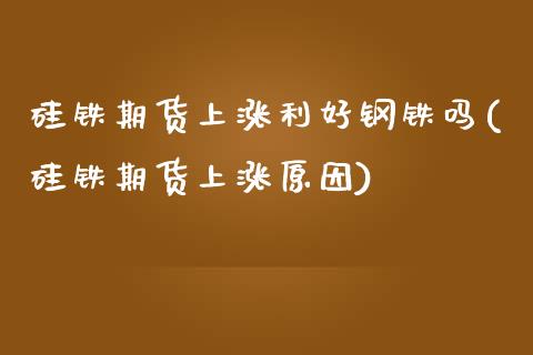 硅铁期货上涨利好钢铁吗(硅铁期货上涨原因)_https://www.fansifence.com_恒指交易时间_第1张