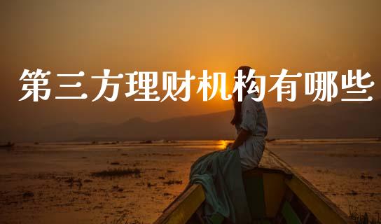 第三方理财机构有哪些_https://www.fansifence.com_国际期货行情_第1张