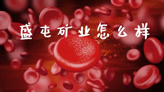 盛屯矿业怎么样_https://www.fansifence.com_中国国际期货_第1张