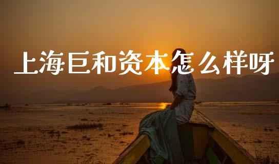 上海巨和资本怎么样呀_https://www.fansifence.com_中国国际期货_第1张