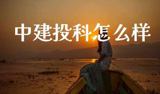 中建投科怎么样_https://www.fansifence.com_国际期货_第1张
