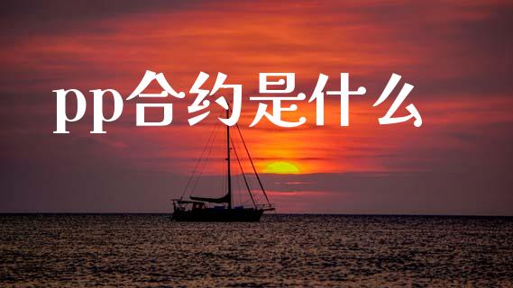 pp合约是什么_https://www.fansifence.com_国际期货行情_第1张