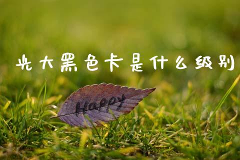 光大黑色卡是什么级别_https://www.fansifence.com_中国国际期货_第1张