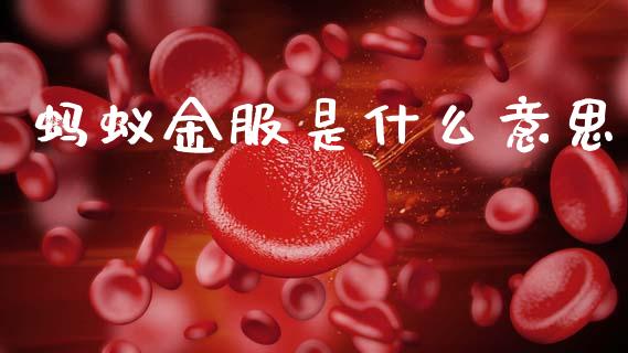 蚂蚁金服是什么意思_https://www.fansifence.com_恒指交易时间_第1张