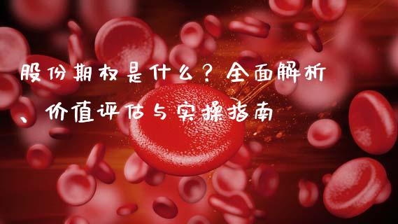 股份期权是什么？全面解析、价值评估与实操指南_https://www.fansifence.com_恒指交易时间_第1张